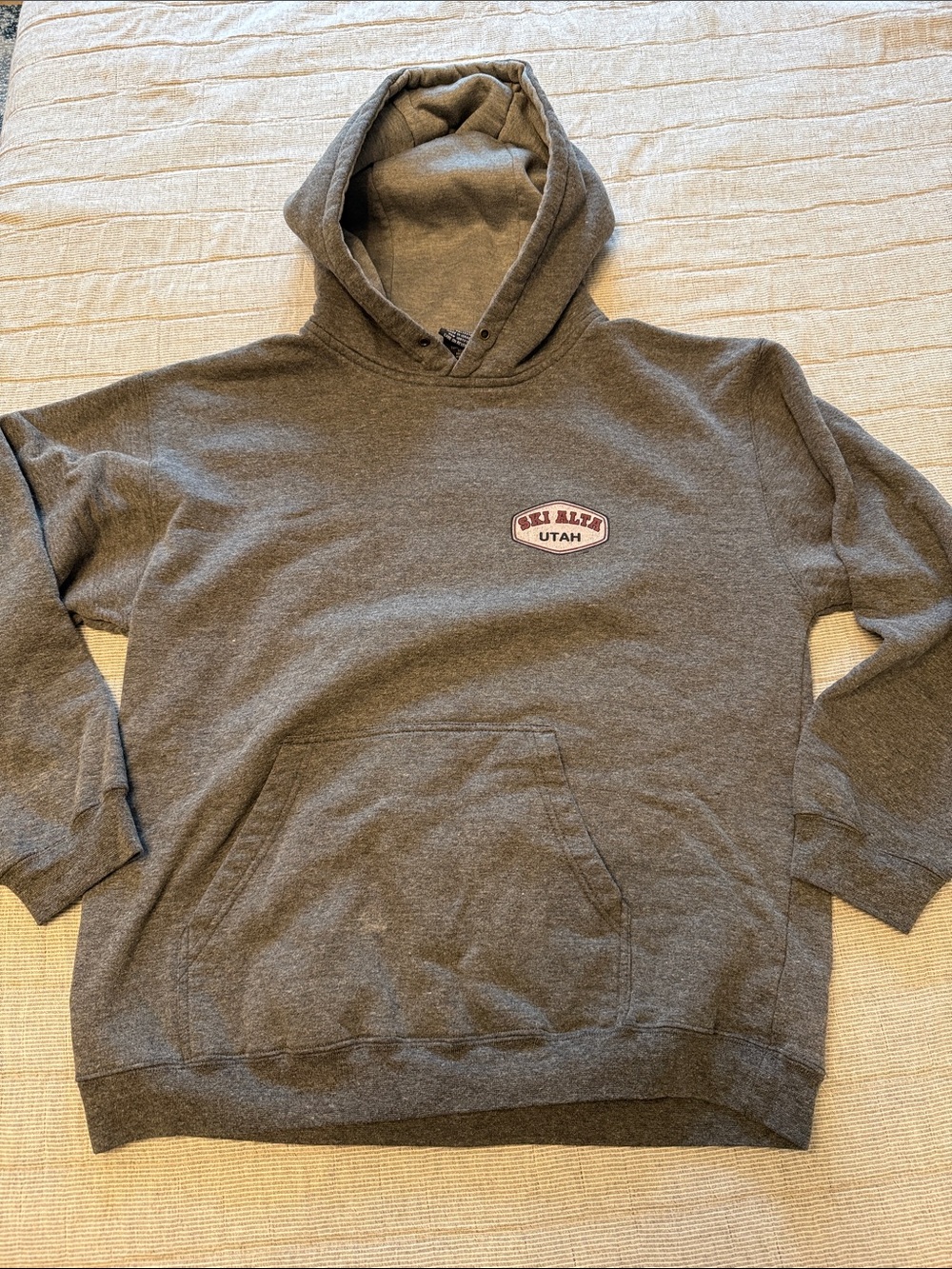Grey Ski Alta Hoodie Sweatshirt